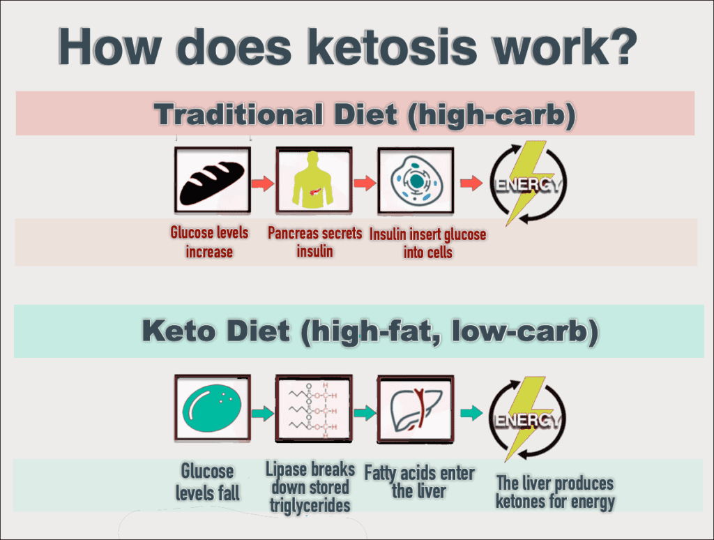 what-is-keto-diet-findbmi