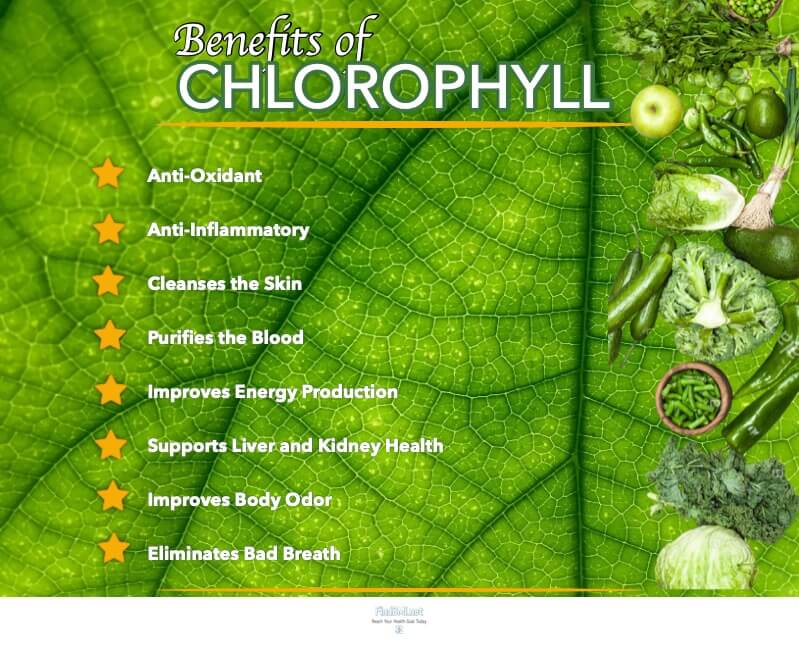 Chlorophyll Benefits