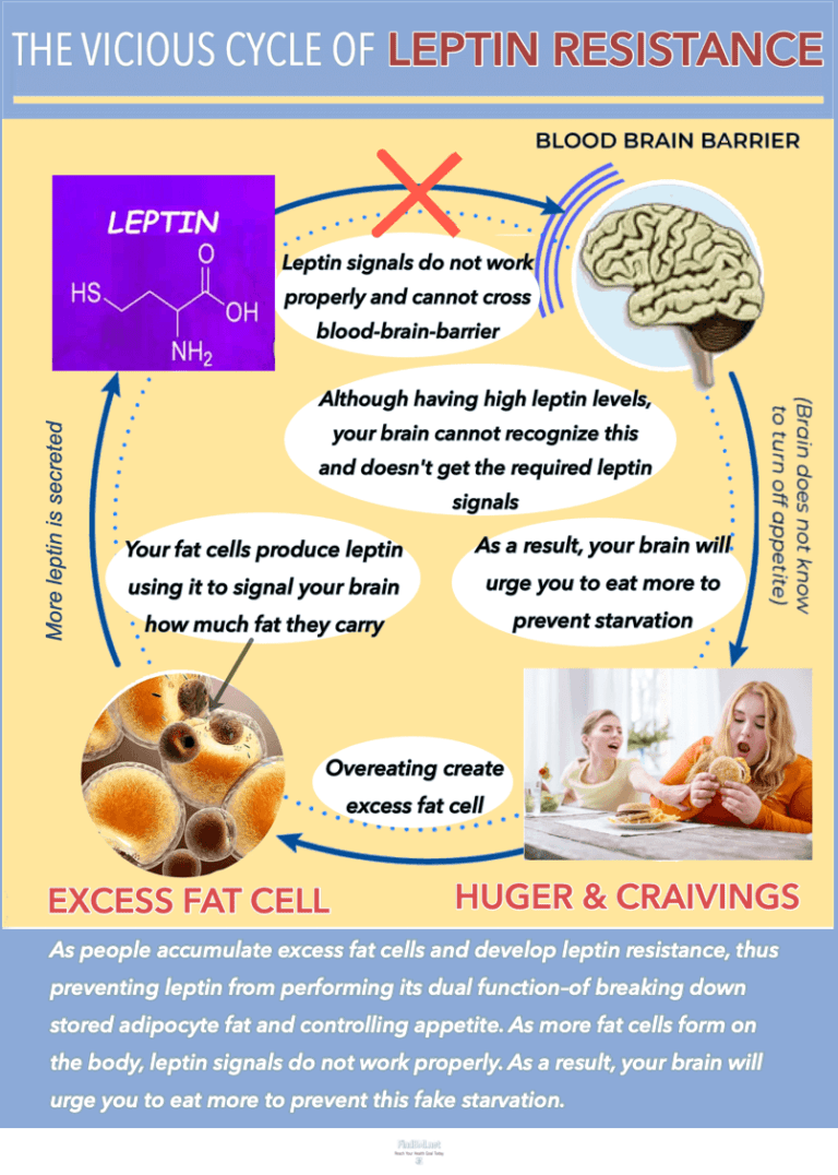 Leptin Resistance Symptoms; Leptin Resistance Medication & Treatment ...